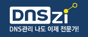 Synology NAS에서 DNSzi DDNS 업데이트가 되지 않는 경우